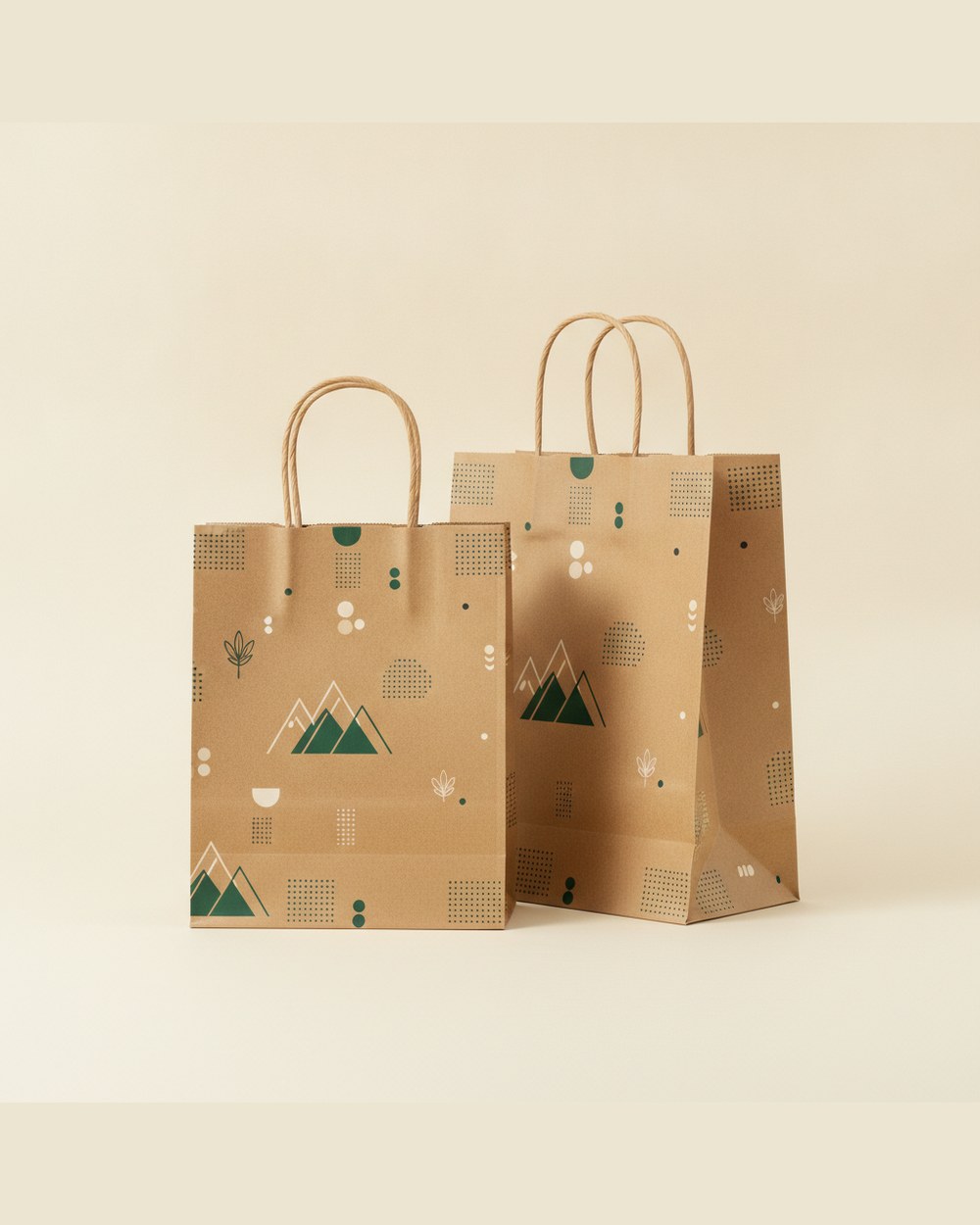 Custom Paper Shopping Bags product image